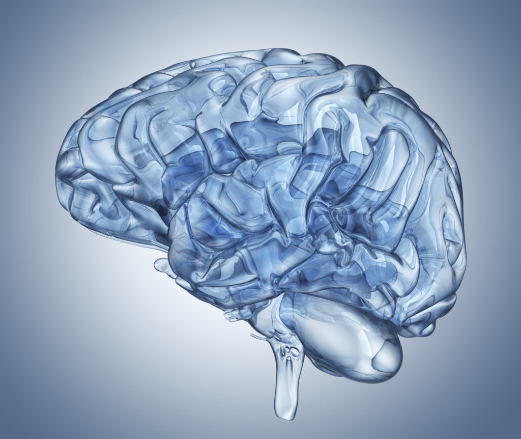 Glass human brain. Clipping path included
